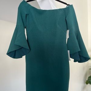 Beautiful forest green bell sleeved dress.